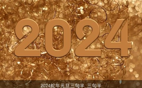 2024蛇年元旦三句半_三句半