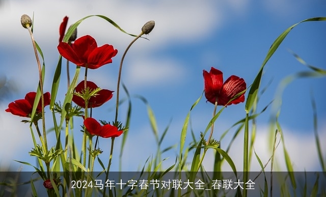 2024马年十字春节对联大全_春联大全