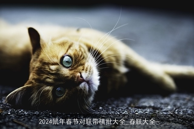 2024鼠年春节对联带横批大全_春联大全