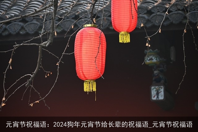 元宵节祝福语：2024狗年元宵节给长辈的祝福语_元宵节祝福语