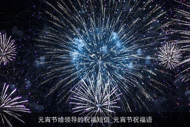 元宵节给领导的祝福短信_元宵节祝福语