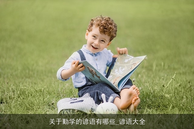 关于勤学的谚语有哪些_谚语大全