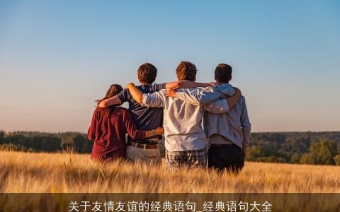 关于友情友谊的经典语句_经典语句大全