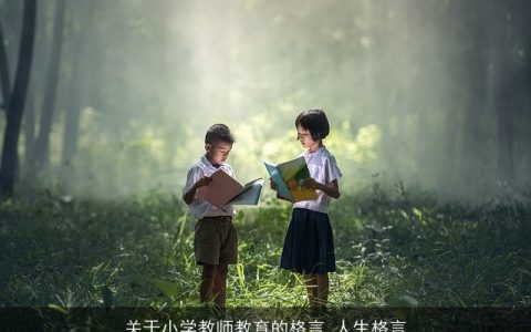 关于小学教师教育的格言_人生格言