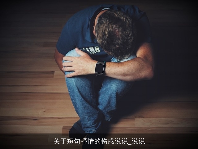 关于短句抒情的伤感说说_说说