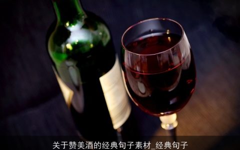 关于赞美酒的经典句子素材_经典句子