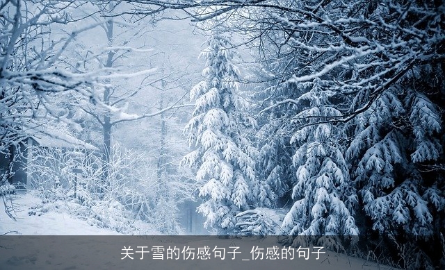 关于雪的伤感句子_伤感的句子