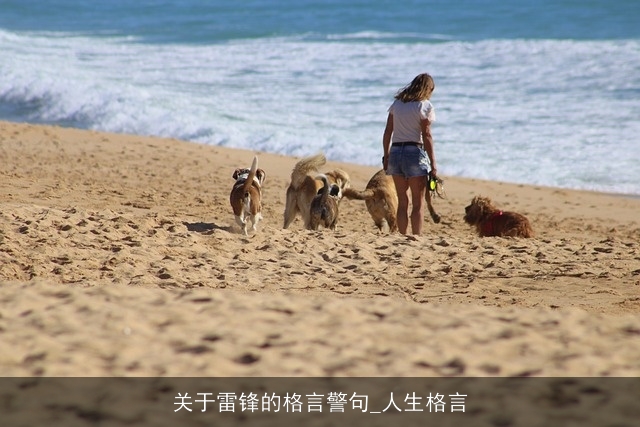 关于雷锋的格言警句_人生格言