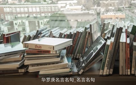 华罗庚名言名句_名言名句