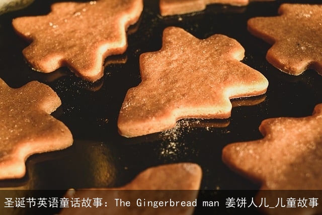 圣诞节英语童话故事：The Gingerbread man 姜饼人儿_儿童故事