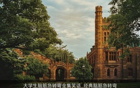 大学生脑筋急转弯全集笑话_经典脑筋急转弯