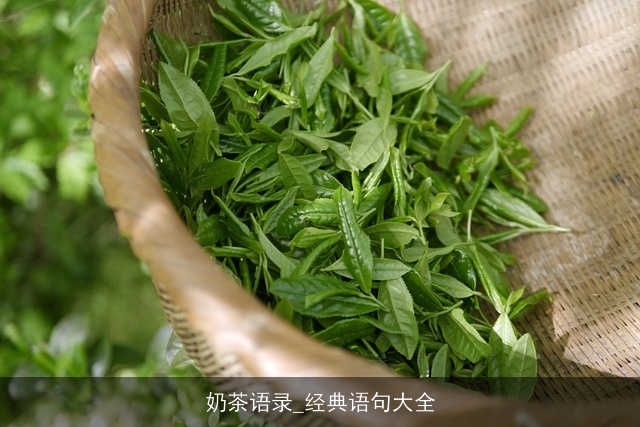 奶茶语录_经典语句大全