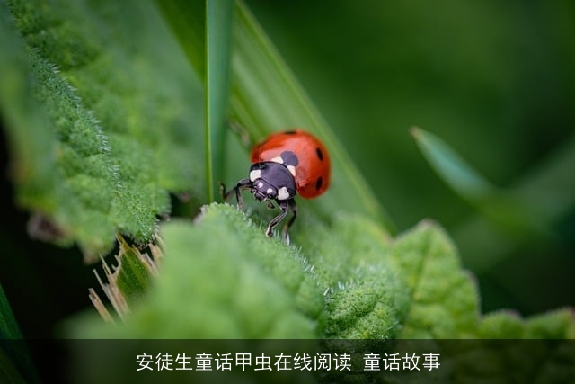 安徒生童话甲虫在线阅读_童话故事