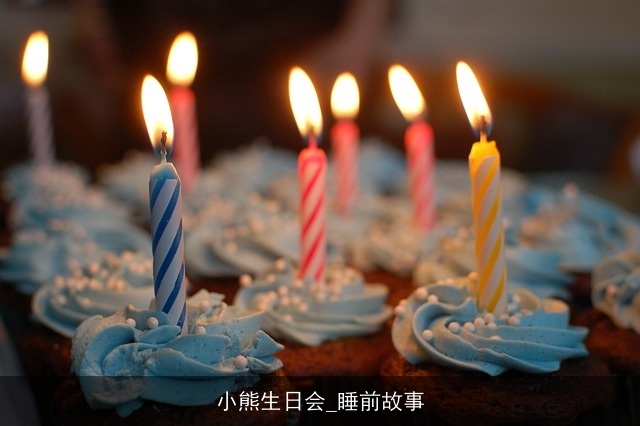 小熊生日会_睡前故事