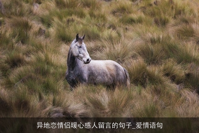 异地恋情侣暖心感人留言的句子_爱情语句