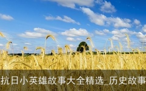 抗日小英雄故事大全精选_历史故事