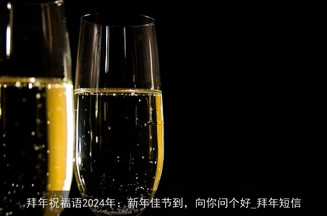 拜年祝福语2024年：新年佳节到，向你问个好_拜年短信