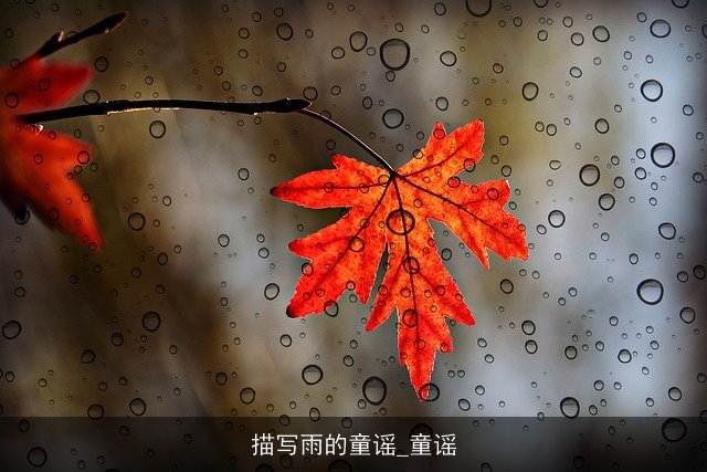 描写雨的童谣_童谣