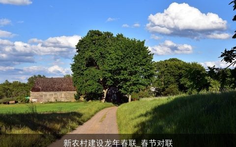 新农村建设龙年春联_春节对联