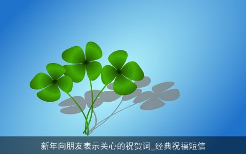 新年向朋友表示关心的祝贺词_经典祝福短信