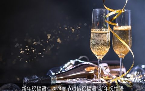 新年祝福语：2024春节短信祝福语_新年祝福语