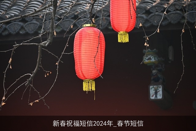 新春祝福短信2024年_春节短信