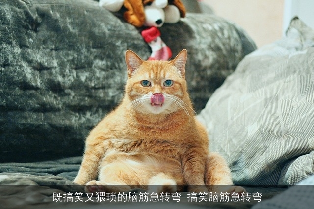 既搞笑又猥琐的脑筋急转弯_搞笑脑筋急转弯