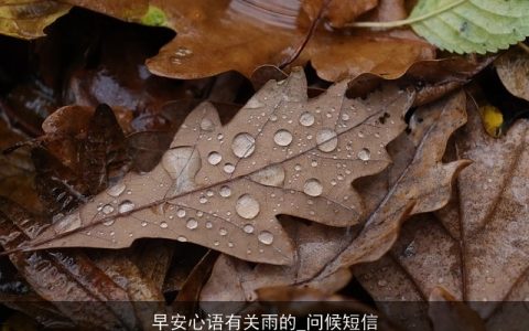 早安心语有关雨的_问候短信