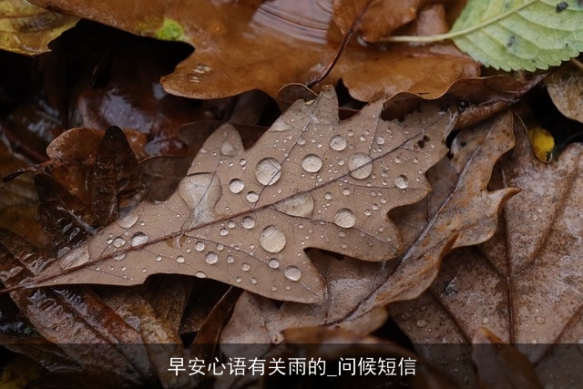 早安心语有关雨的_问候短信