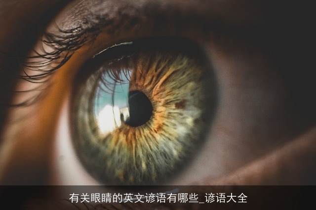 有关眼睛的英文谚语有哪些_谚语大全