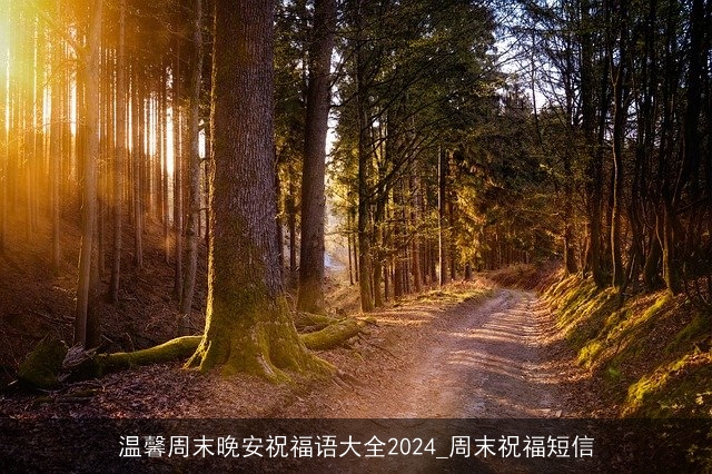 温馨周末晚安祝福语大全2024_周末祝福短信