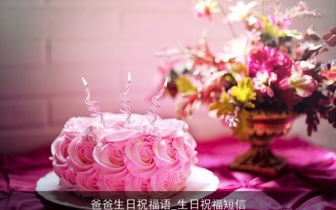 爸爸生日祝福语_生日祝福短信