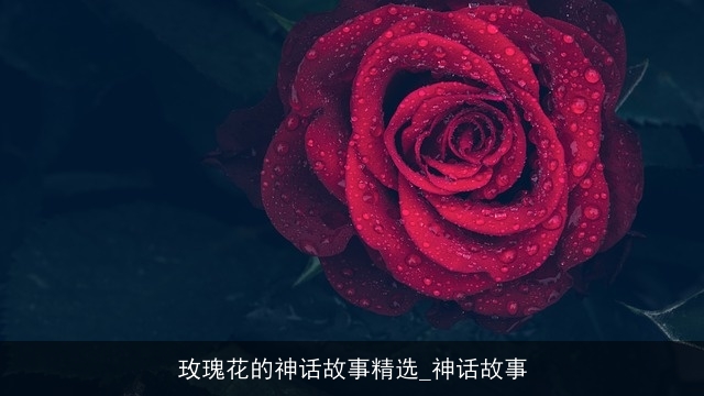 玫瑰花的神话故事精选_神话故事