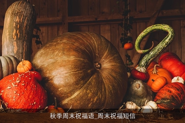 秋季周末祝福语_周末祝福短信