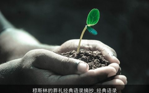 穆斯林的葬礼经典语录摘抄_经典语录