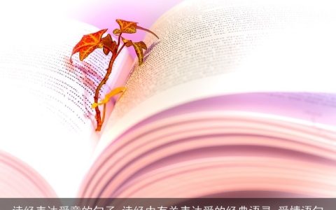 诗经表达爱意的句子_诗经中有关表达爱的经典语录_爱情语句