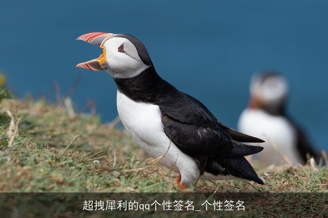 超拽犀利的qq个性签名_个性签名