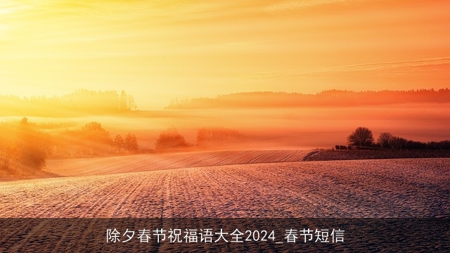 除夕春节祝福语大全2024_春节短信