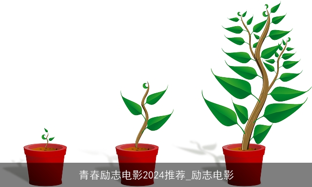 青春励志电影2024推荐_励志电影