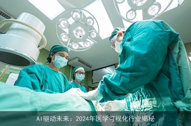 AI驱动未来：2024年医学可视化行业揭秘