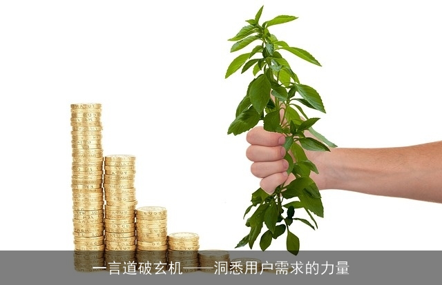 一言道破玄机——洞悉用户需求的力量