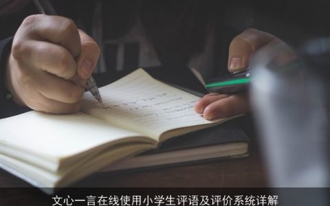 文心一言在线使用小学生评语及评价系统详解