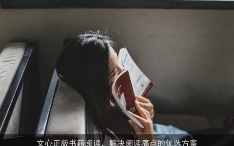 文心正版书籍阅读，解决阅读痛点的优选方案