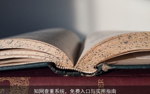 知网查重系统，免费入口与实用指南