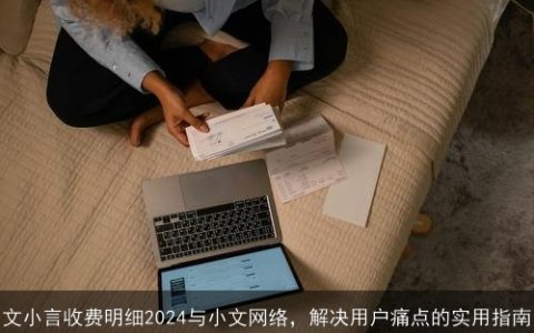 文小言收费明细2024与小文网络，解决用户痛点的实用指南