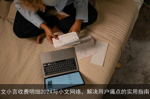 文小言收费明细2024与小文网络，解决用户痛点的实用指南