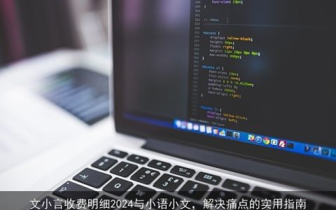 文小言收费明细2024与小语小文，解决痛点的实用指南