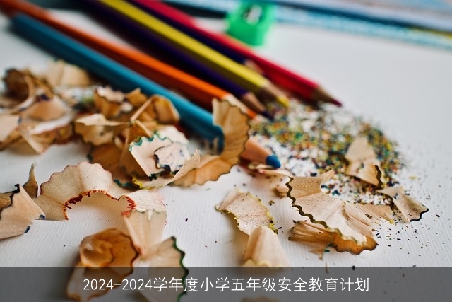 2024-2024学年度小学五年级安全教育计划