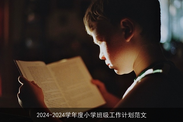 2024-2024学年度小学班级工作计划范文