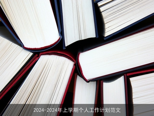 2024-2024年上学期个人工作计划范文